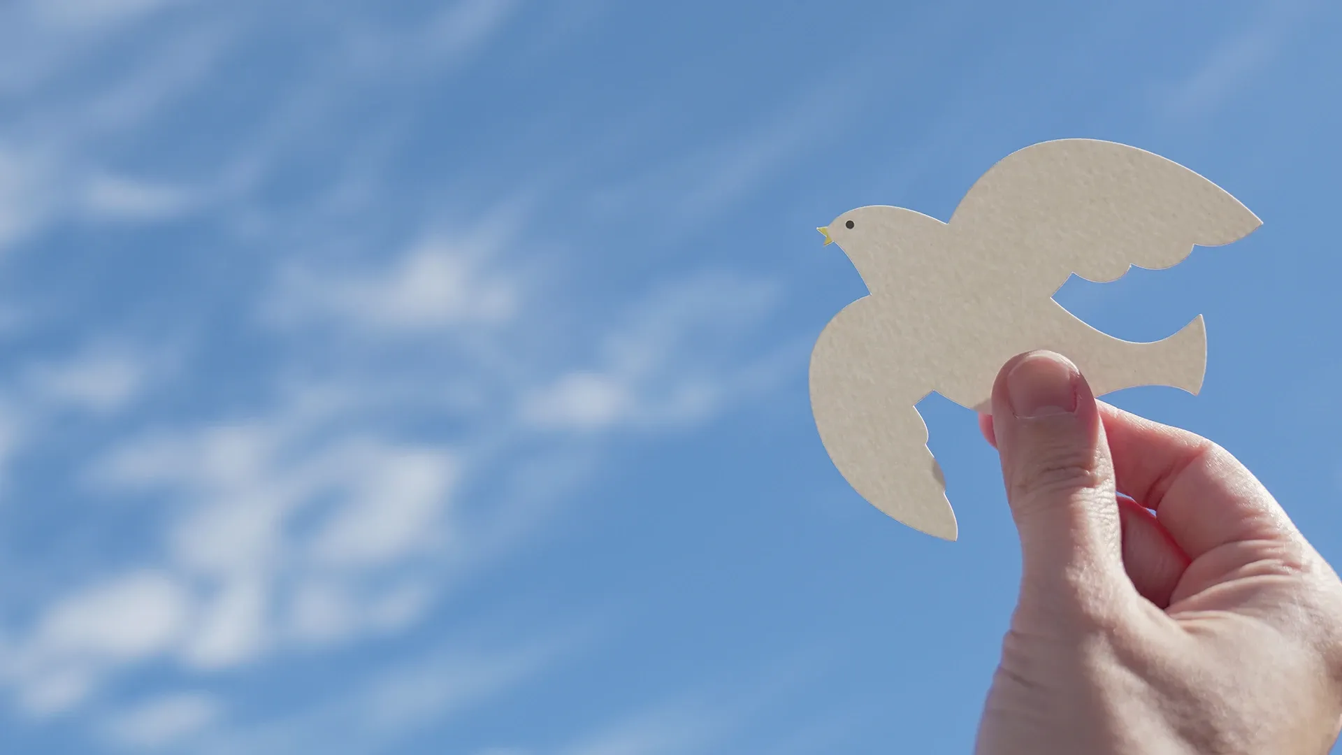 Close up de un recorte con la imagen de la paloma de la paz.