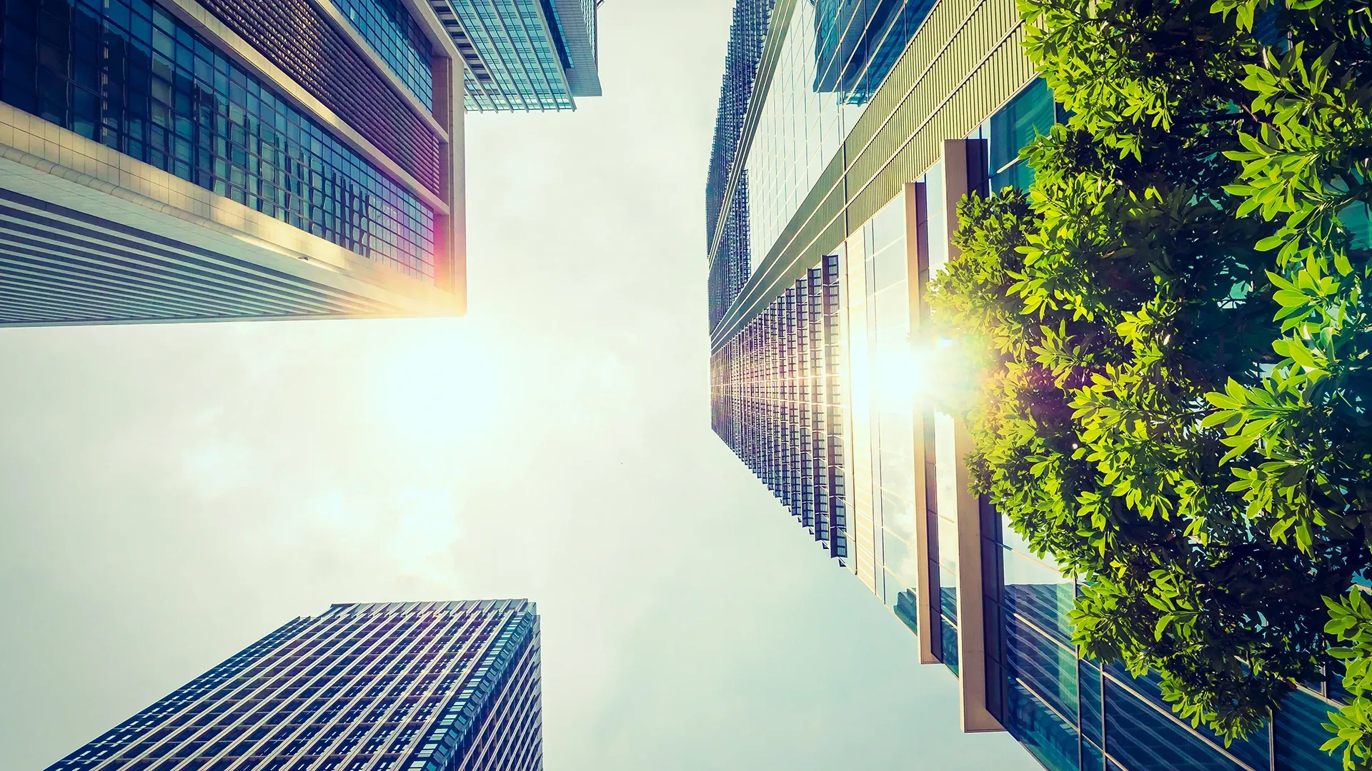 Vista contrapicada de edificios Leed.