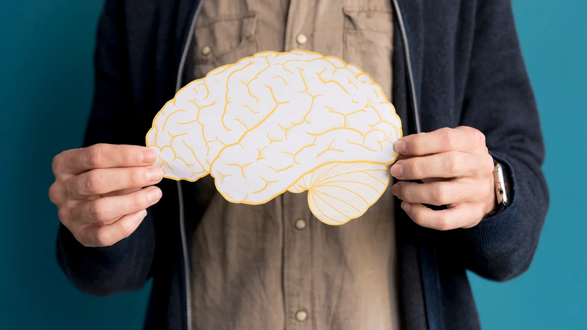 Persona sosteniendo un gráfico de un cerebro.